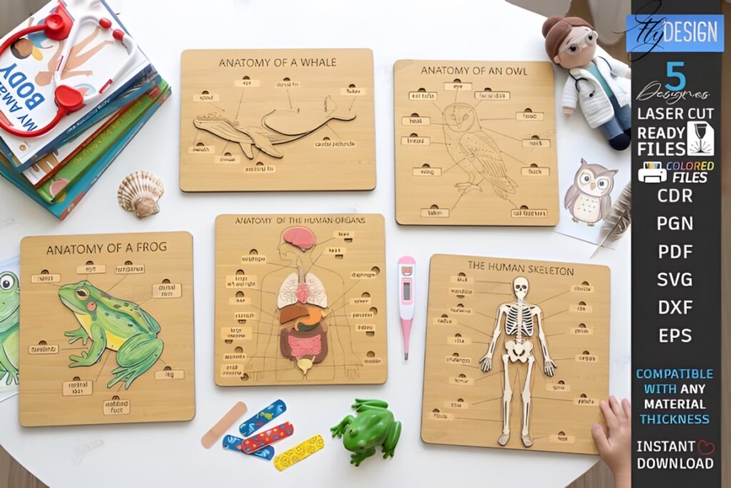 22 Educational Laser Cut Puzzles for Kids with SVG Files 16 Educational laser cut puzzles showing anatomy of whale, owl, frog, human organs, and human skeleton on wooden boards