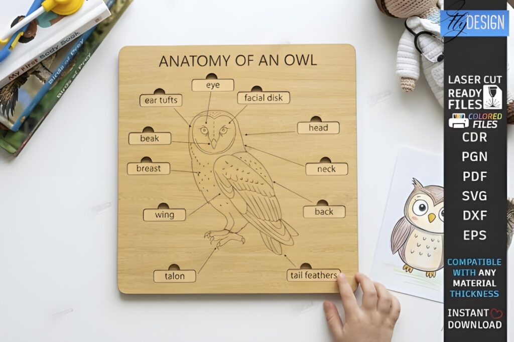 22 Educational Laser Cut Puzzles for Kids with SVG Files 17 Educational laser cut puzzles showing anatomy of an owl with labeled removable parts on wooden board